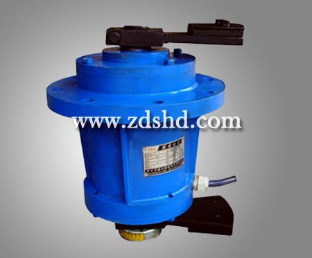 XVML立式振動電機(jī)